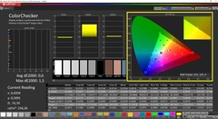 CalMAN: ColorChecker (gekalibreerd)