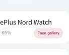 De "Nord Watch" duikt op in een nieuw lek. (Bron: Mukul Sharma via Twitter)