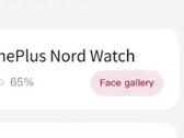 De "Nord Watch" duikt op in een nieuw lek. (Bron: Mukul Sharma via Twitter)