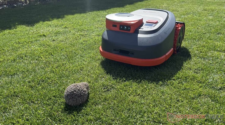De Navimow H2 heeft onze nep-egels tijdens de tests betrouwbaar gedetecteerd.