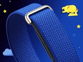 De Fitbit Air krijgt een Pokémon Sleep Special Edition.