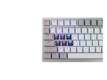 Het beschikt ook over noordgerichte RGB-verlichting. (Afbeeldingsbron: Asus)