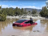 Tesla's FSD dreef deze Model 3 in een waterig graf. (bron: Wham Baam Teslacam op YouTube)