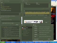 Een screengrab van een van de eerste builds van de Steam Client (bron: Steam Community)