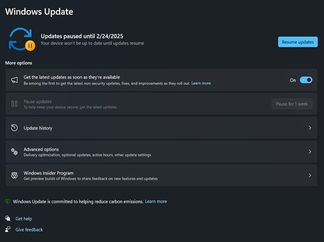 Windows Update 24H2 gepauzeerd (Afbeeldingsbron: Screenshot)