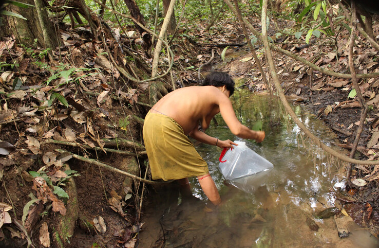Vrouw haalt water uit een rivier (Afbeelding: Yanomami Stichting)