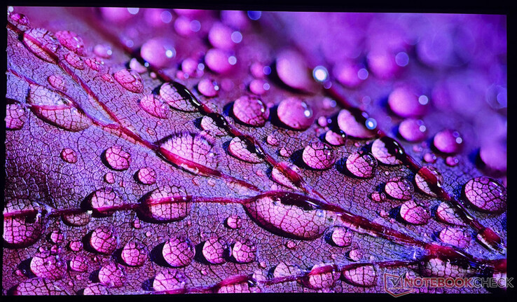 De gebruikte iPhone 16 Pro kan slechts in beperkte mate de beeldkwaliteit van de Aetherion Max vastleggen.