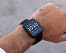 De Venu X1 heeft verschillende nieuwe functies gekregen met de nieuwste bèta-update. (Afbeeldingsbron: Garmin)