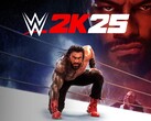 WWE 2K25 banner (Afbeelding bron: Sony PlayStation, Take-Two Interactive met bewerkingen)