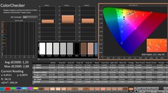 CalMAN: ColorChecker (gekalibreerd)