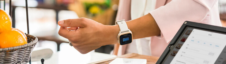 De Garmin Pay-functie (hierboven afgebeeld) wordt omgedoopt tot Garmin Wallet. (Afbeeldingsbron: Garmin)
