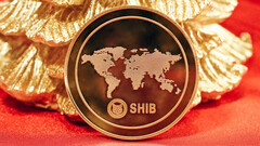 $SHIB-eigenaars krijgen brandwondenbeloningen via nieuw portaal (afbeelding: Quantitatives.io/Unsplash)