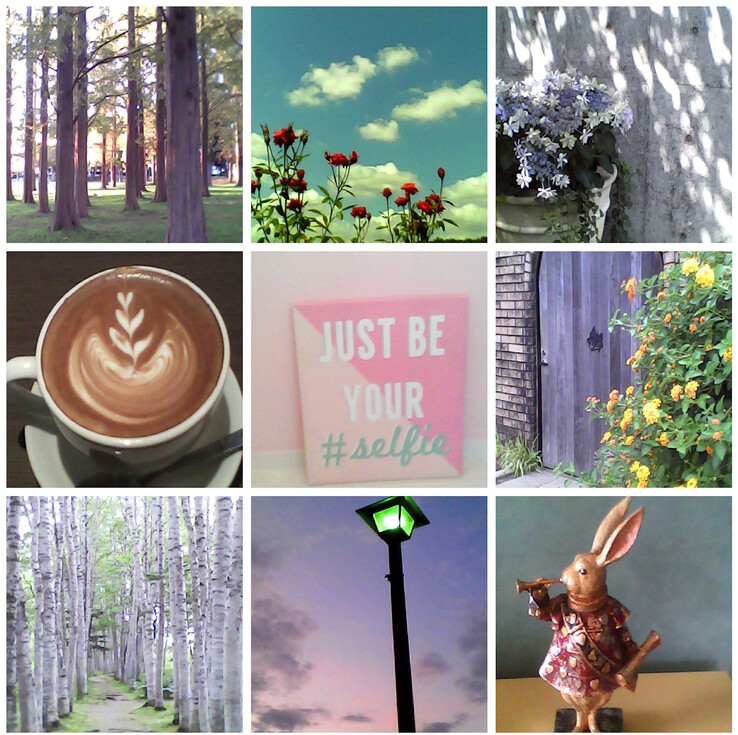 Voorbeeldfoto's gemaakt met de Kenko Tokina Pieni II speelgoedcamera. (Afbeeldingsbron: Kenko Tokina)