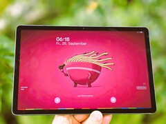Samsung Galaxy Tab S10 Lite in review. (Afbeeldingsbron: Marcus Herbrich)