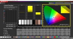 CalMAN ColorChecker gekalibreerd (doelkleurruimte P3)