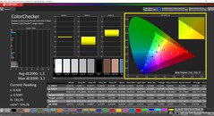 CalMAN ColorChecker (profiel: sRGB, doelkleurruimte: sRGB)