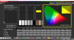 CalMAN ColorChecker (profiel sRGB)