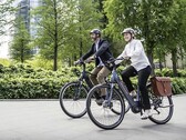 De Diamant Mandara 160 Gen 3 e-bike kan lasten tot 169 kg (~353 lbs) dragen. (Afbeelding bron: Trek Bikes)