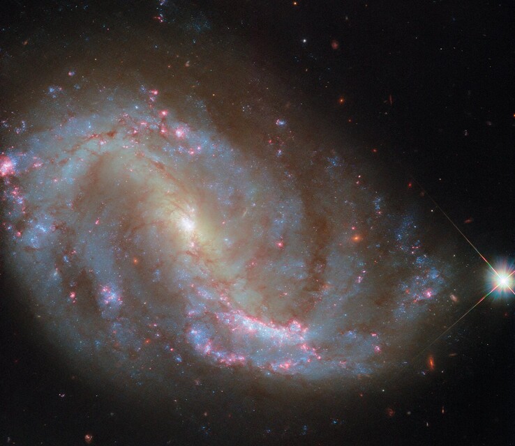 De Hubble-opname van NGC 7496 (Afbeeldingsbron: ESA/Hubble, NASA, R. Chandar, J. Lee en het PHANGS-HST-team)