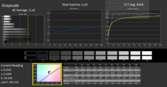 CalMan ColorChecker Grijswaarden (gekalibreerd)