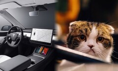 De binnenkant van auto's verandert, meestal ten kwade. (Beeldbron: Tesla/Unsplash)