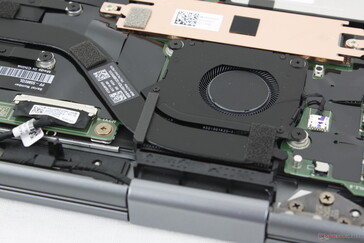 We merken geen elektronische ruis of spoelgejank op in ons testapparaat