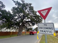 De Jolene eik op Old Stagecoach Road in Kyle Texas (bron: Maya Fawa/KUT News)