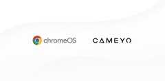 Google neemt Cameyo over (Bron: Google Cloud Blog)