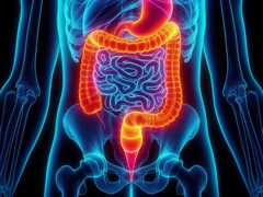 Enterale beademing is voor het eerst met succes getest bij mensen. (Afbeeldingsbron: David_SMC via Pixabay)