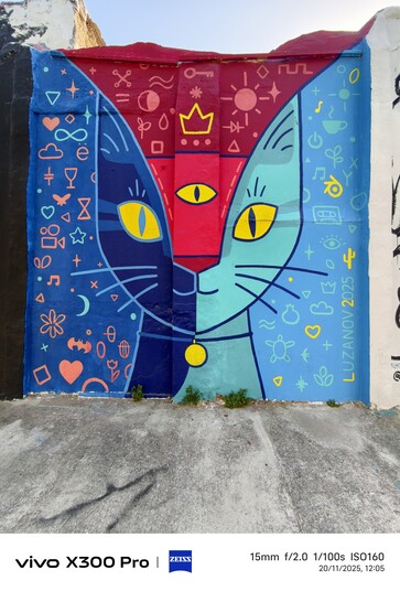 Vivo X300 Pro: Foto voorbeeld