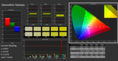 Calman ColorChecker: DCI-P3 - verzadiging