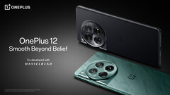 De OnePlus 12 kan nu wereldwijd worden gekocht (afbeelding via OnePlus)
