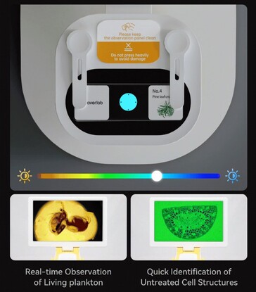 De Darwin MX Pro heeft instelbare RGB lichtkleuring van preparaten om de interne structuren gemakkelijk te kunnen zien. (Afbeelding bron: BeaverLab op Kickstarter)