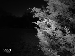 De nachtzichtcamera kan duidelijke beelden vastleggen van onderwerpen binnen 5 meter in volledige duisternis.