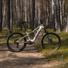 De Amflow TL Carbon is uitgerust met de Avinox M2-mid-drive-motor van DJI