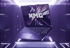 Meer instapopties voor budgetgerichte gamers. (Afbeelding Bron: XMG)