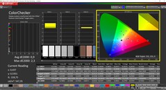 CalMAN ColorChecker (profiel: Vivid, doelkleurruimte: P3)