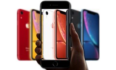 Het lijkt erop dat de volgende generatie iPhone SE mogelijk gebaseerd is op de Apple iPhone XR. (Afbeelding bron Apple - bewerkt)