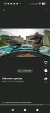 Ingebouwde sociale functies voor vogels