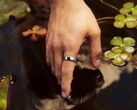 Samsung ontwikkelt een nieuw alternatief voor de Oura Ring 5.
