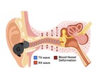 APG gebruikt ultrasone tonen die gemoduleerd worden door drukveranderingen in de gehoorgang (Afbeelding Bron: Google Research)