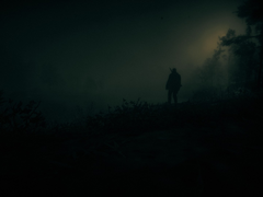 Een screengrab van Red Dead Redemption 2 op PC (bron: Steam Community)