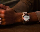 Garmin's recente 'Pro' smartwatches komen opnieuw in aanmerking om bèta-updates te ontvangen. (Afbeeldingsbron: Garmin)