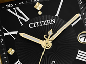 De Citizen ES9503-01E