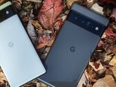 De Google Pixel 6-serie. (Bron: Techidroid)