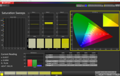 CalMAN verzadiging gekalibreerd