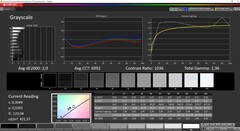 CalMan ColorChecker - Grijstinten