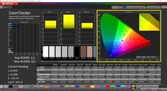 CalMAN ColorChecker (profiel: Standaard, doelkleurruimte: P3)