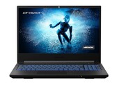 Medion Erazer Deputy P25 gaming laptop review: Sterke prestaties, zwak beeldscherm