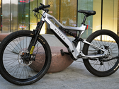 De Nireeka Revenant e-bike kan worden uitgerust met een 1.000 W motor die tot 85 Nm koppel levert. (Beeldbron: Nireeka)